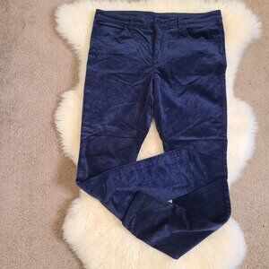 DH3 Mia Velveteen Midrise Skinny Jeans - Size 10 x 30